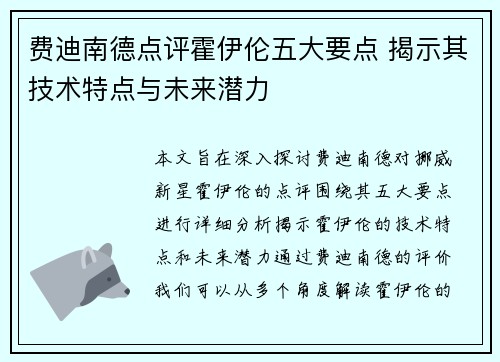 费迪南德点评霍伊伦五大要点 揭示其技术特点与未来潜力
