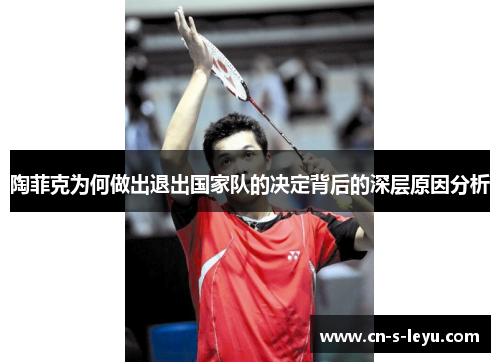 陶菲克为何做出退出国家队的决定背后的深层原因分析