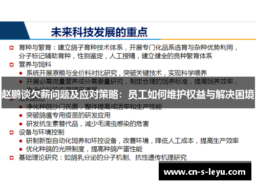 赵鹏谈欠薪问题及应对策略：员工如何维护权益与解决困境