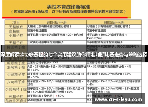 深度解读欧协联赛程的七个实用建议助你精准判断比赛走势与策略选择