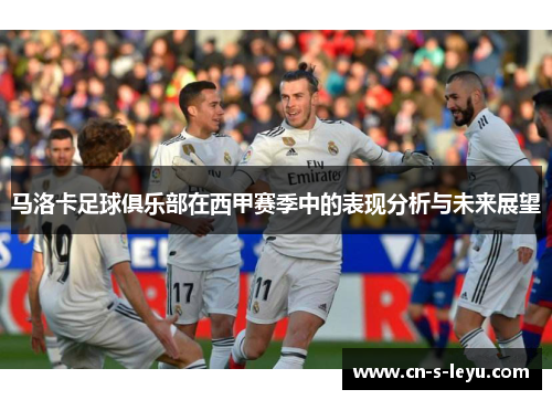 马洛卡足球俱乐部在西甲赛季中的表现分析与未来展望
