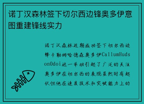 诺丁汉森林签下切尔西边锋奥多伊意图重建锋线实力